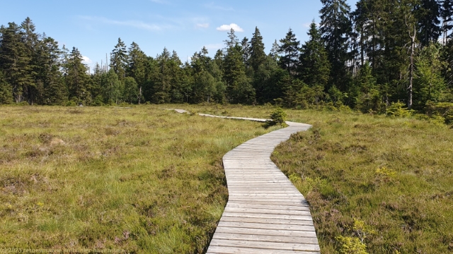 moorsteg am fuss des brocken