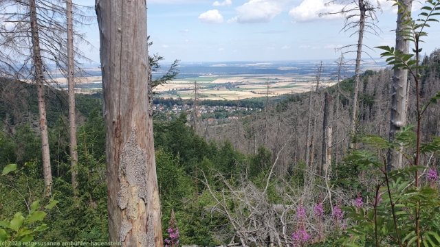 aussicht vom wanderweg beim kaltetalskopf