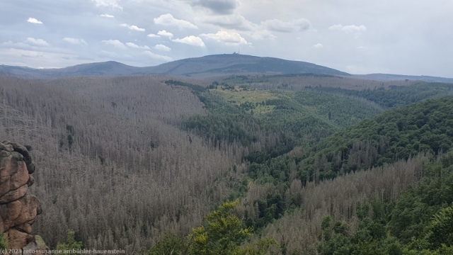 blick von der rabenklippe richtung brocken