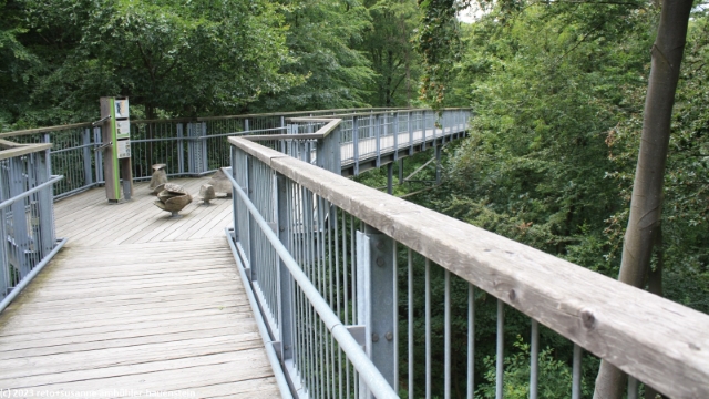 baumwipfelpfad bei bad harzburg