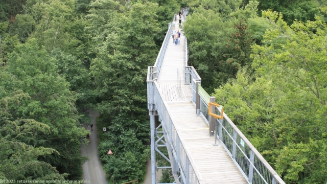 baumwipfelpfad bei bad harzburg