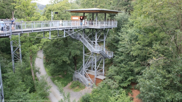 baumwipfelpfad bei bad harzburg