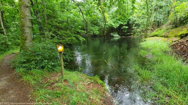 teich im wald bei hunnebostrand