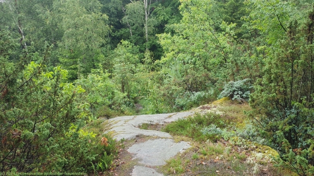 wanderweg im wald bei hunnebostrand