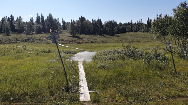 wegweiser am wanderweg bei storlien