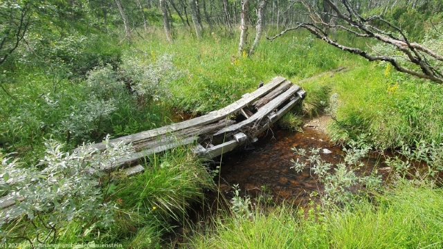 marode bruecke im verlauf des suedlichen kungsleden