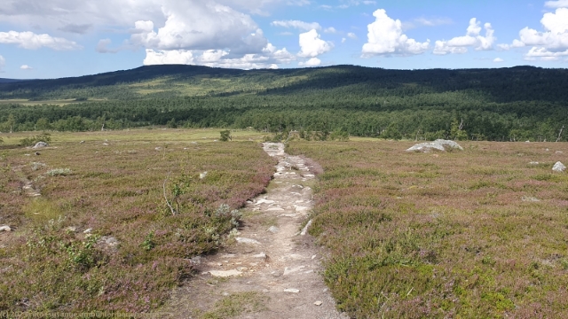 wanderweg bei sevedholm