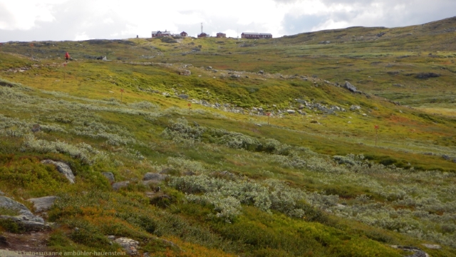 blick vom graeslidfjaellet hinauf zur blahammarens fjaellstation
