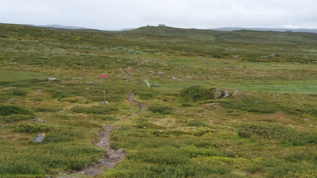 wanderweg richtung faeltjaegarstugan
