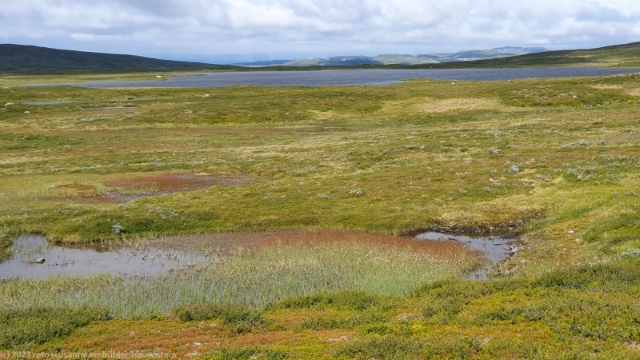 klastjaernen