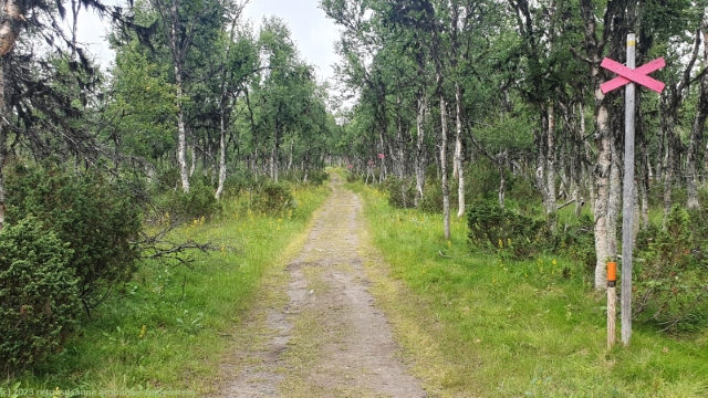 wanderweg kurz vor fjaellnaes
