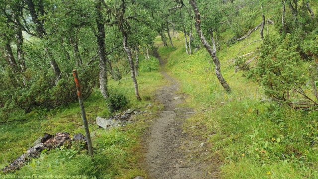 steil ansteigender wanderweg von ramundberget zur gruvstugan