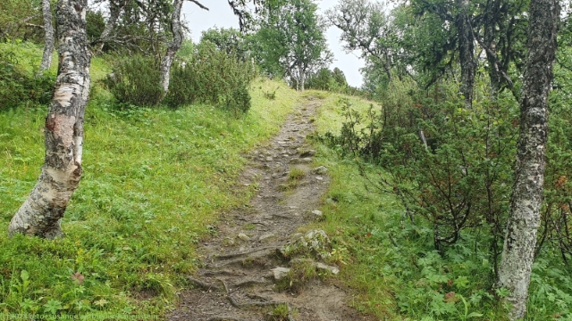 steil ansteigender wanderweg von ramundberget zur gruvstugan