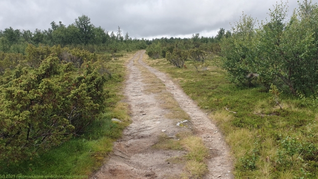 wanderweg richtung djupdalsvallen