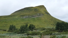 mittaklaeppen