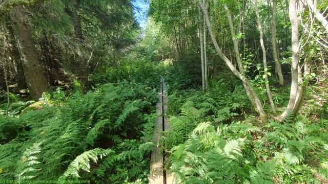wandersteg auf holmen