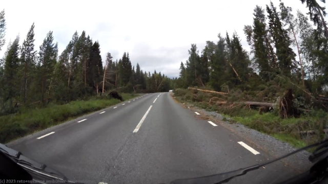 schwere sturmschaeden entlang der strasse 1014