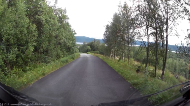 strasse von laisaliden zur 1117 hinunter