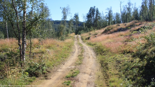 wanderweg auf dem nordnesfjell richtung gjoten