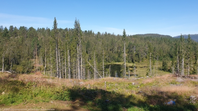 kleiner bergsee auf dem nordnesfjell bei gjoten