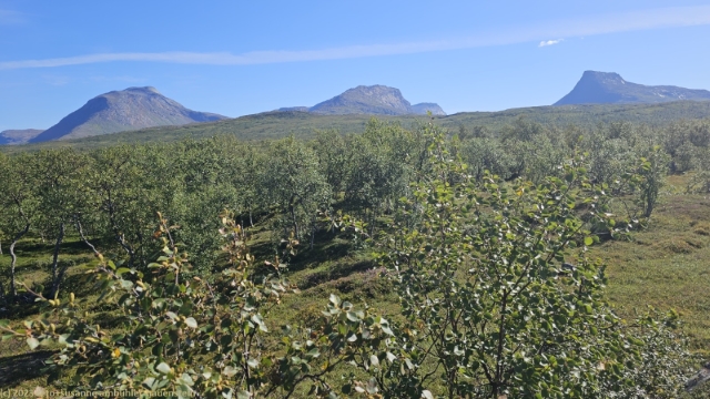 blick vom nordnesfjell auf die umliegende bergwelt