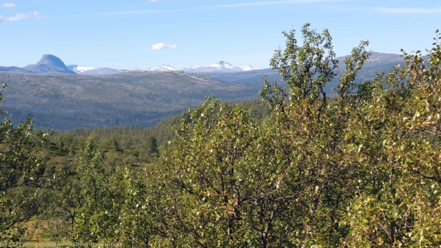 blick vom nordnesfjell auf die umliegende bergwelt
