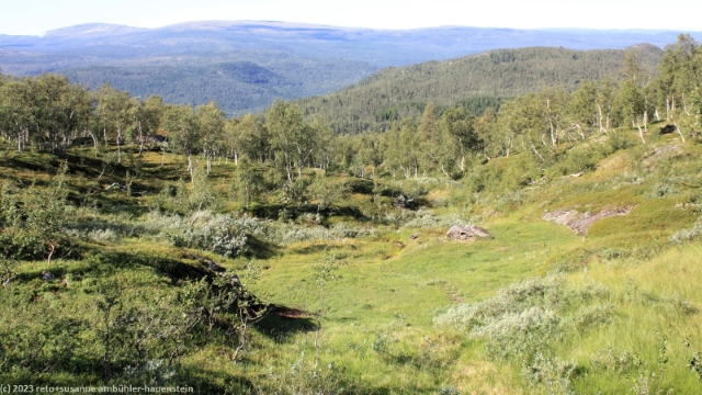 nordnesfjell bei leidevasslia