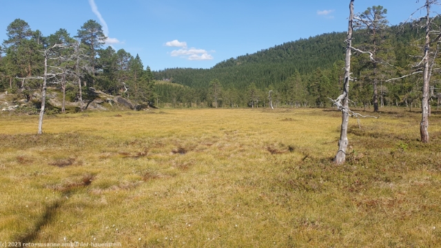 sumpf bei siriheim auf dem nordnesfjell