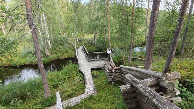 steg im botanisk fjaelltraedgard bei jokkmokk