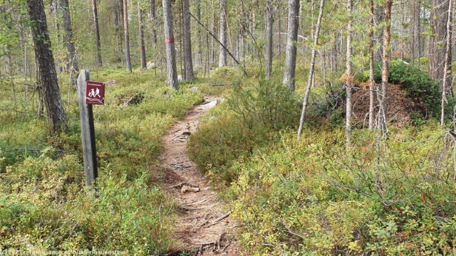 kvarnbaecksleden bei jokkmokk