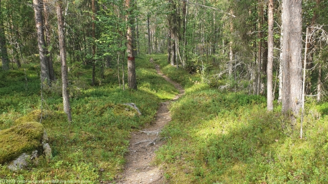kvarnbaecksleden bei jokkmokk