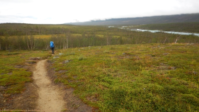 padjelanta mit vuojataedno im hintergrund