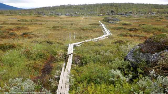 wandersteg durch sumpf im verlauf des padjelanta