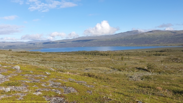 kutjaure