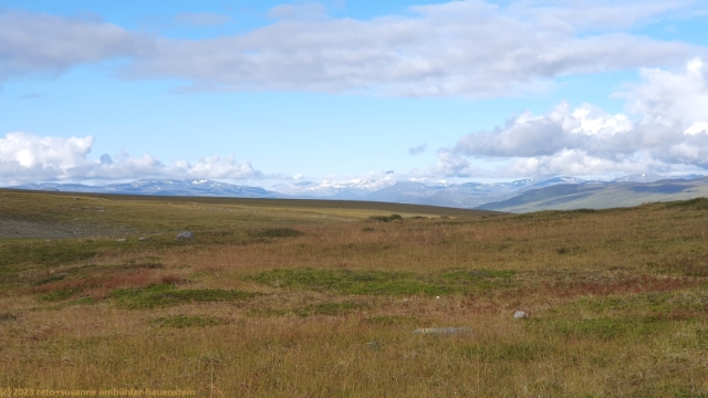 berge im bereich des schwedisch/norwegischen grenzgebietes