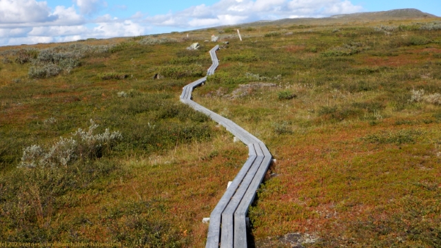 wandersteg im verlauf des padjelanta