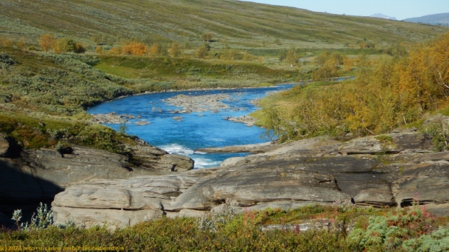 laddejakka