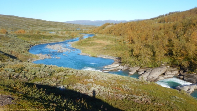 laddejakka