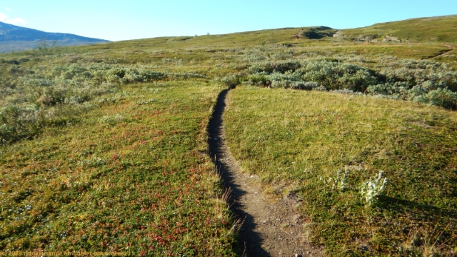 wanderweg richtung parka