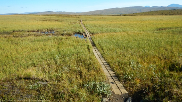 wanderweg durch sumpfgebiet richtung parka