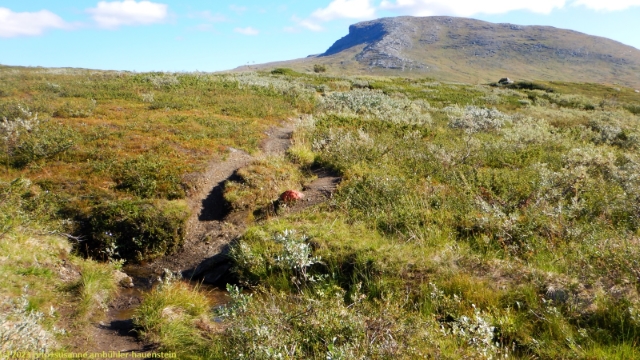wanderweg mit huornnasj im hintergrund
