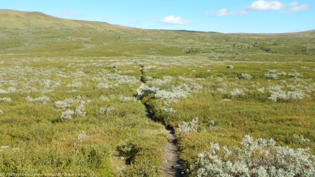 wanderweg