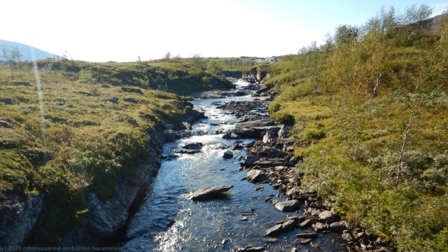 arasjahka