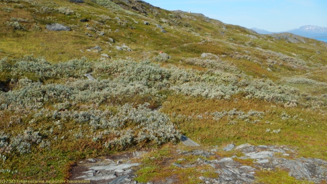 wanderweg ueber die nordwestliche flanke des padjelanta