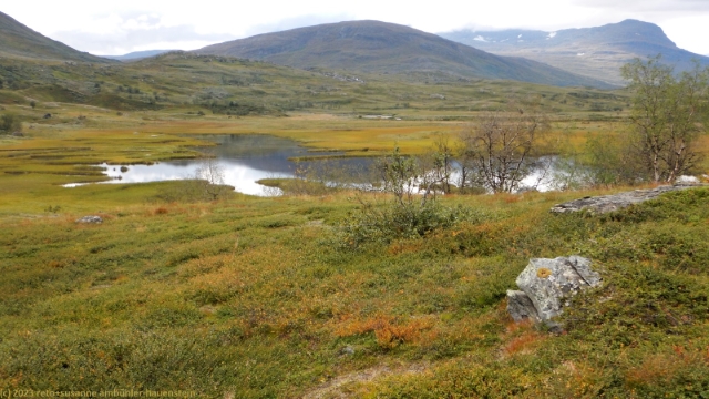 sumpfgebiet entlang des nordkalottleden