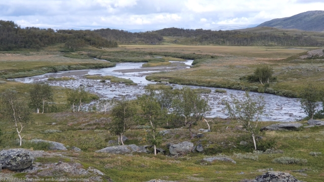 viejejahka