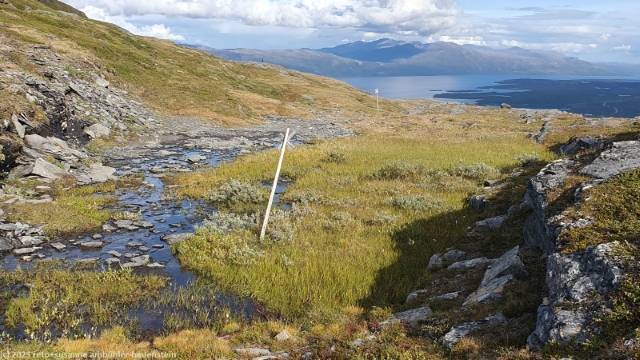 wanderweg durch sumpfgebiet auf dem njulla