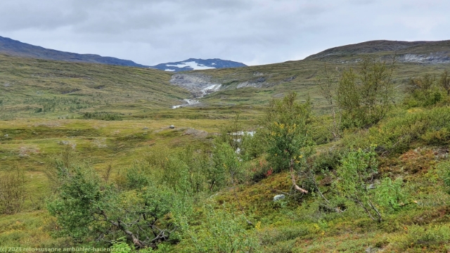 rakkasjohka