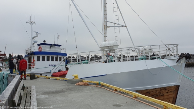 walbeobachtungsschiff reine im hafen von andenes
