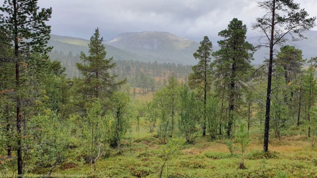anderdalen nationalpark mit svanfjellet